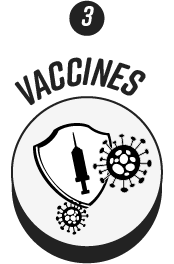 Icon-3 vaccines