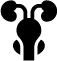 Asset 76 male reproductive parts