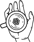 Asset 91 hand with petri dish