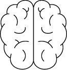 Asset 93 brain