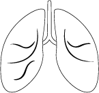 Asset 94 lungs